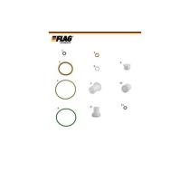 FLAG 801119 - KIT REPARACION