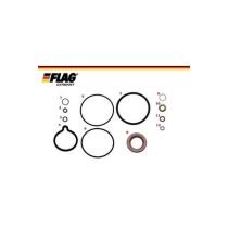 FLAG 801101 - KIT REPARACION