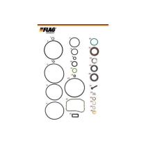 FLAG 801138 - KIT REPARACION