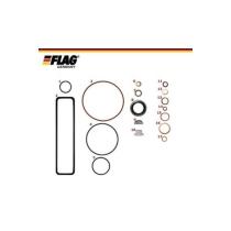 FLAG 800910 - KIT REPARACION