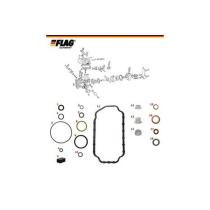 FLAG 800726 - KIT REPARACION