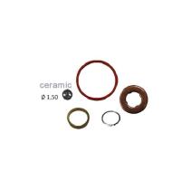 FLAG 873685 - KIT REP.INYECTOR COMMON RAIL